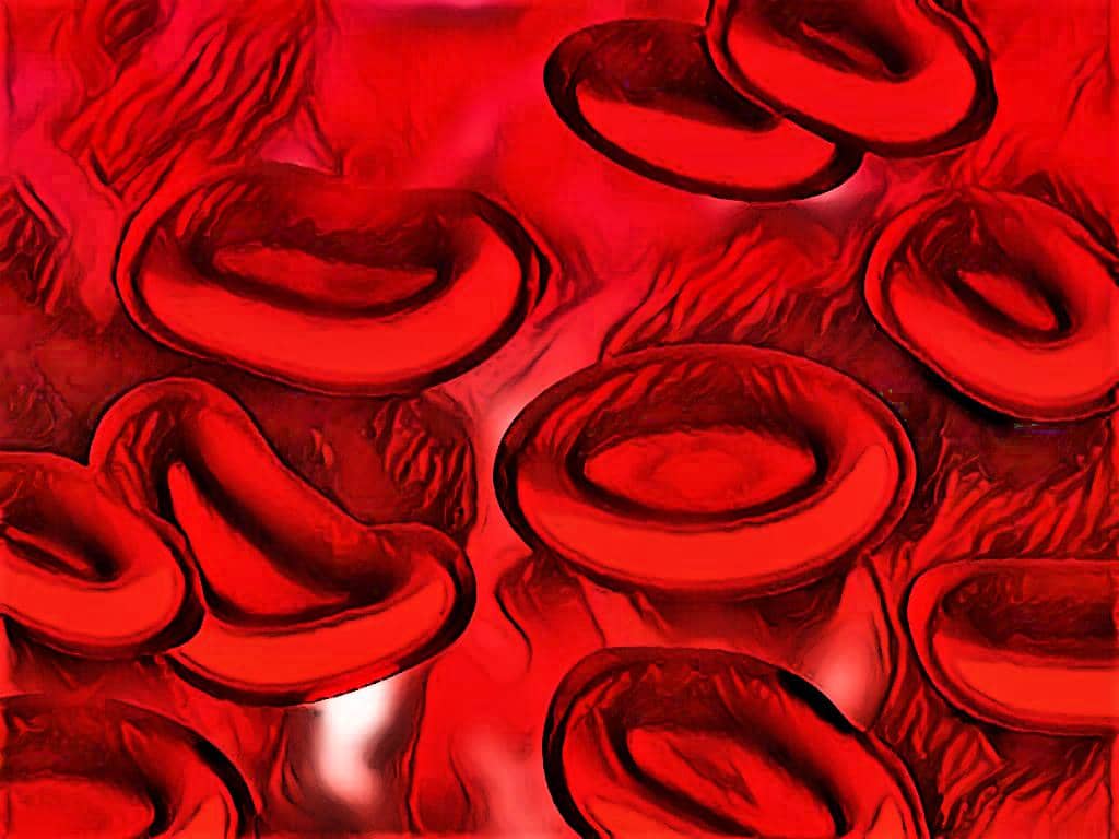 red cell indices - red cell index - red blood cells - mean cell volume - laboratory hub - mcv - mean cell hemoglobin - mch - hematology practicalmean cell hemoglobin concentration - mchc