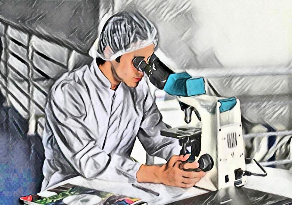 tachnique oriented examination of specimen in microbiology laboratory - laboratory hub techniques - how to examine specimen in microbiology laboratory