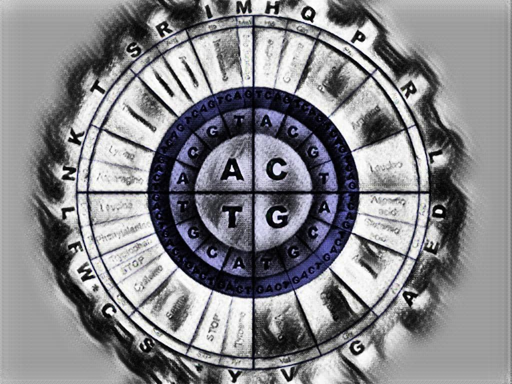 Nucleic Acids Multiple Choice Questions Set 2 Laboratory Hub