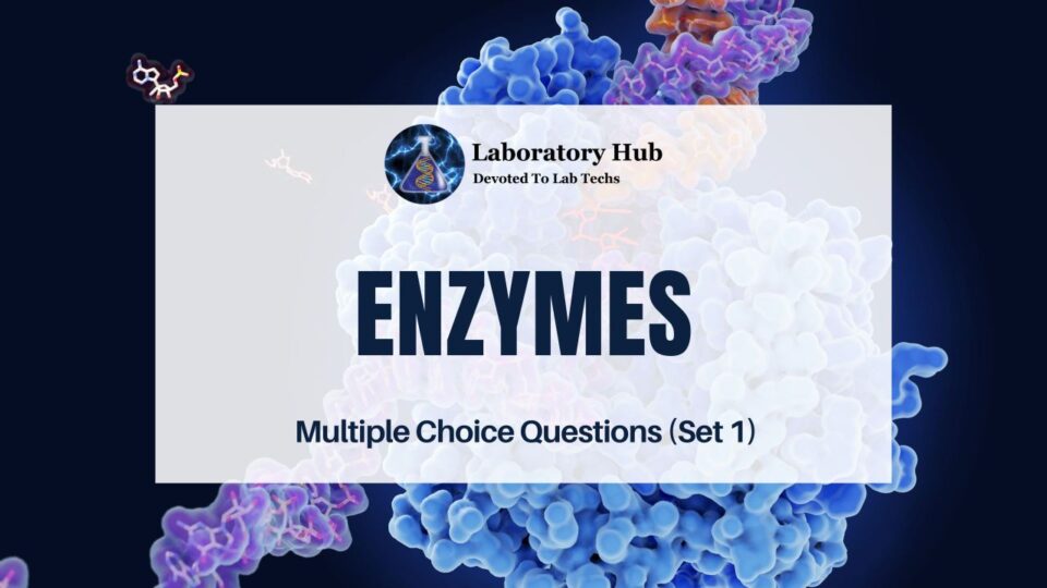 Enzymes | Multiple Choice Questions (Set 1)