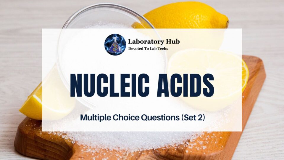 Nucleic Acids - Multiple Choice Questions (Set 2)