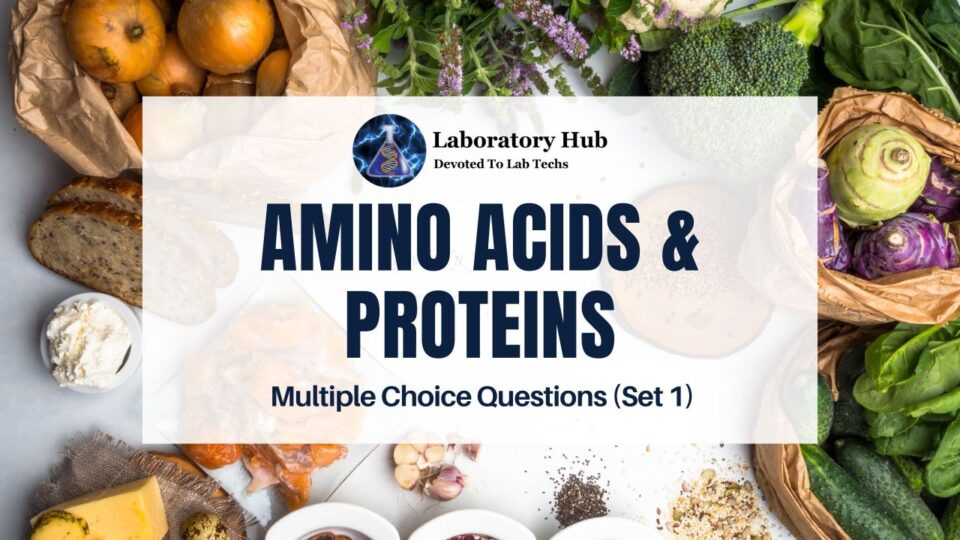 Amino Acids & Proteins Multiple Choice Questions (Set 1)