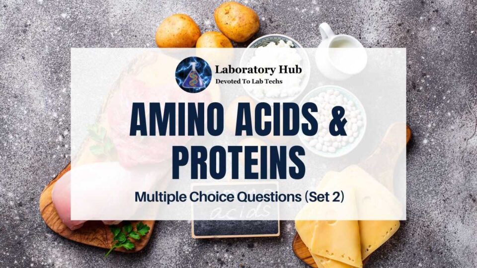 Amino Acids & Proteins - Multiple Choice Questions (Set 2)