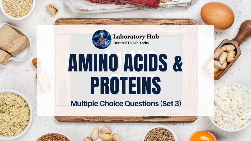 Amino Acids & Proteins | Multiple Choice Questions (Set 3)