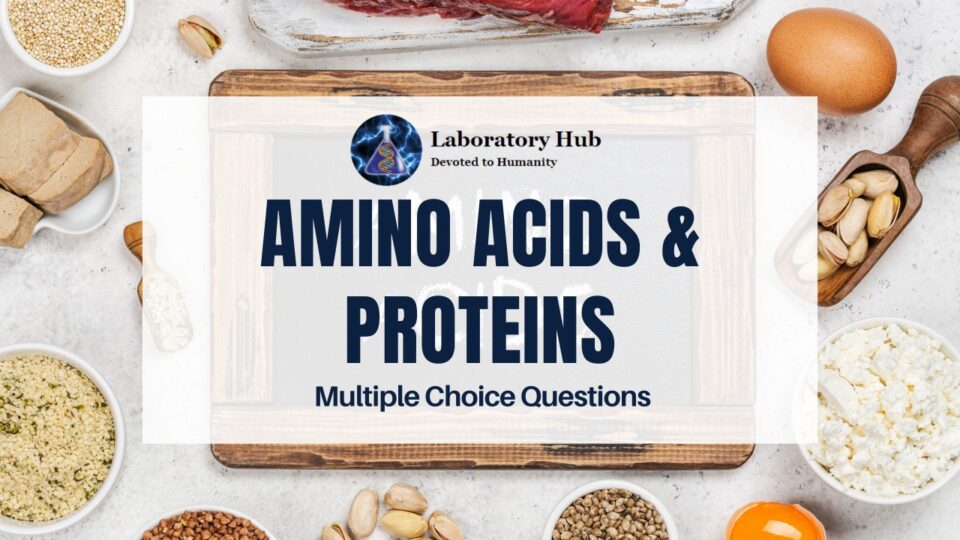 Amino Acids & Proteins Multiple Choice Questions (Set 3)