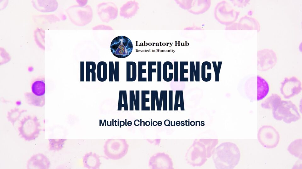 Iron Deficiency Anemia - Multiple Choice Questions