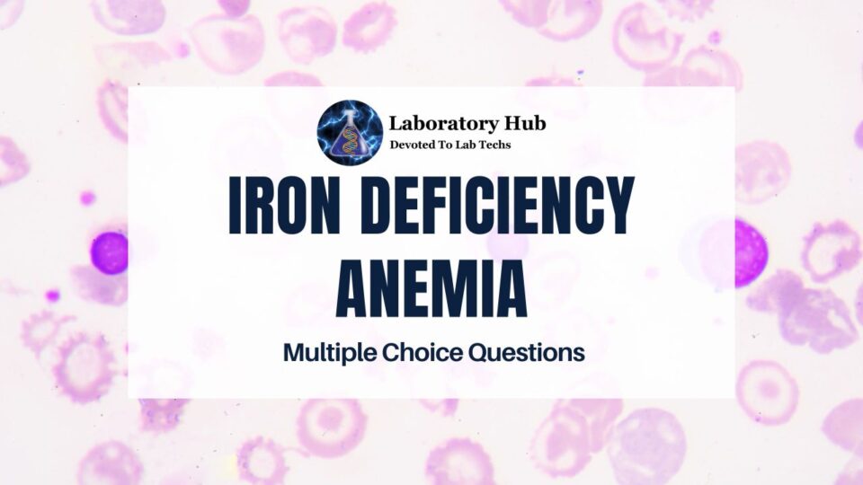 Iron Deficiency Anemia – Multiple Choice Questions