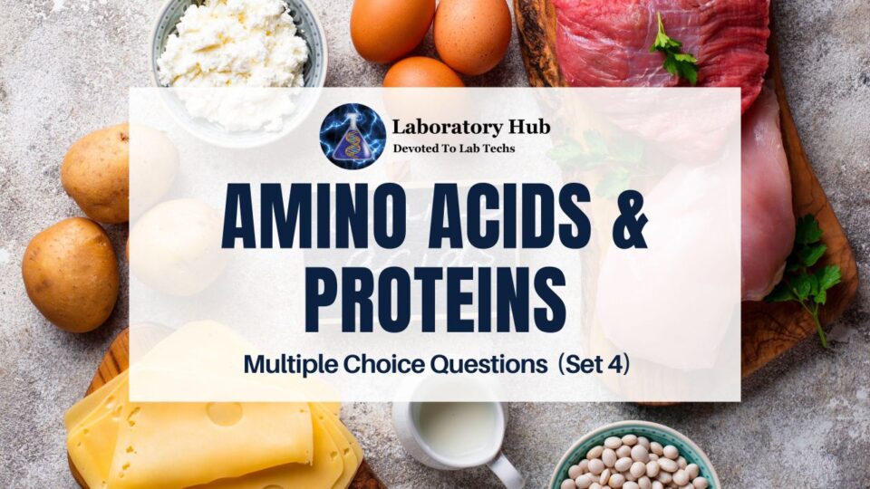 Amino Acids & Proteins Multiple Choice Questions (Set 4)