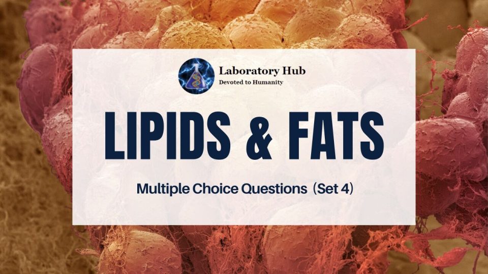 Lipids & Fats | Multiple Choice Questions (Set 1)
