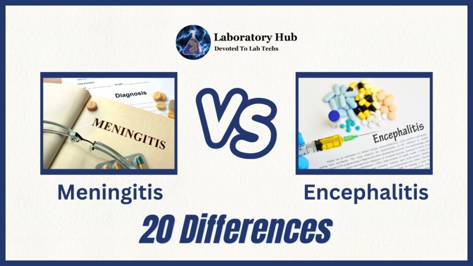 Meningitis vs Encephalitis- 20 Differences