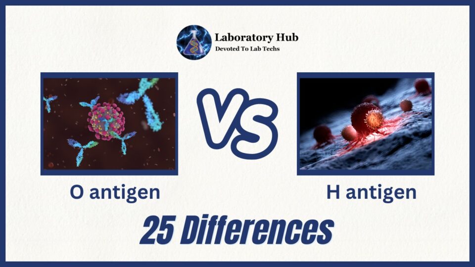 O antigen vs H antigen - 25 Differences