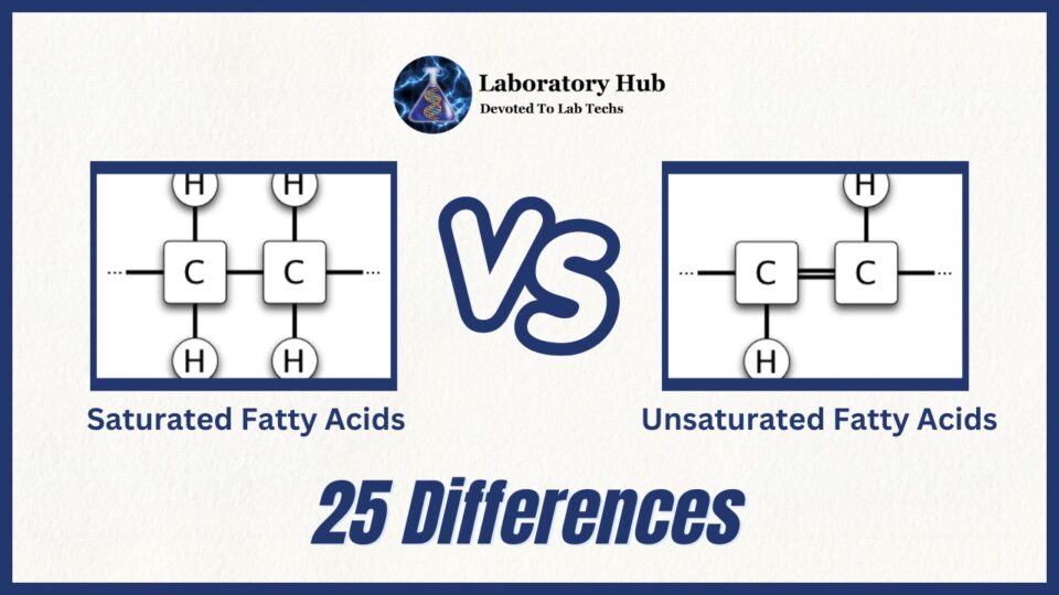 Saturated vs Unsaturated fatty acids- 25 Differences