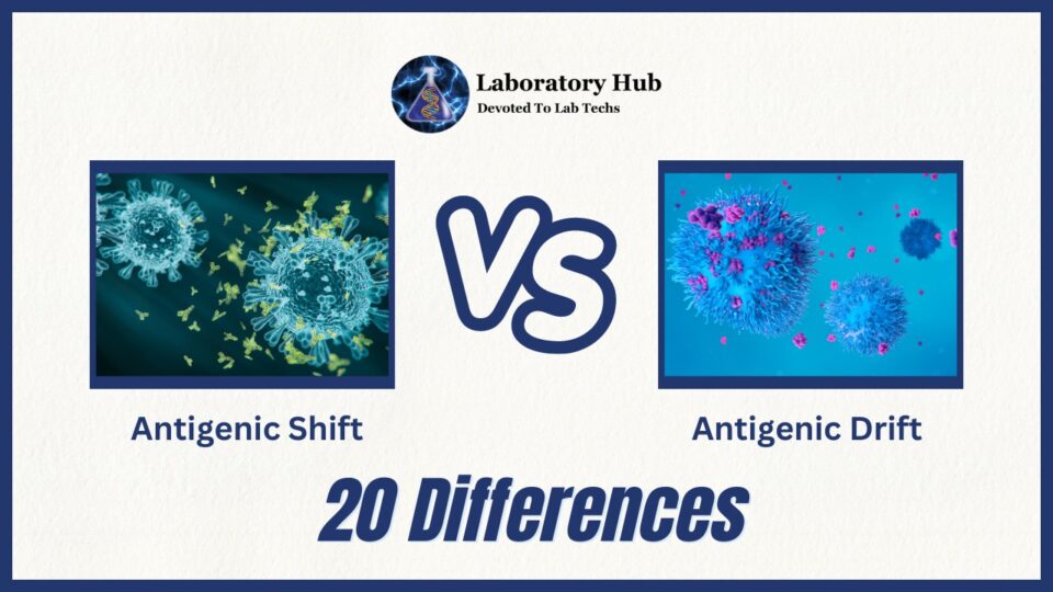 Antigenic Shift vs Antigenic Drift- 20 Differences