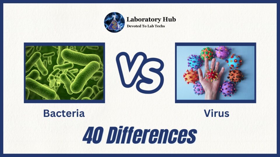 Bacteria vs Virus: 40 Differences