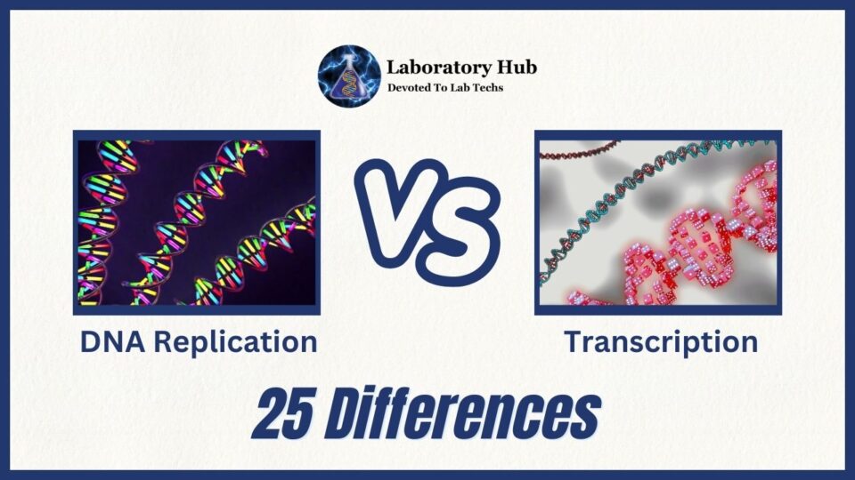 DNA Replication vs Transcription- 25 Differences