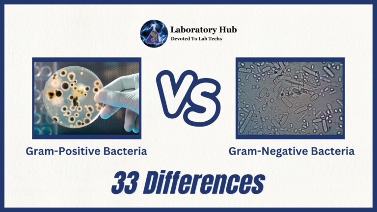 Gram Positive Vs Gram Negative Bacteria 33 Differences