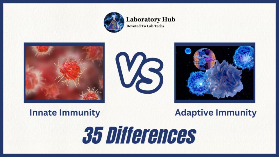 Innate Immunity vs Adaptive Immunity- 35 Differences