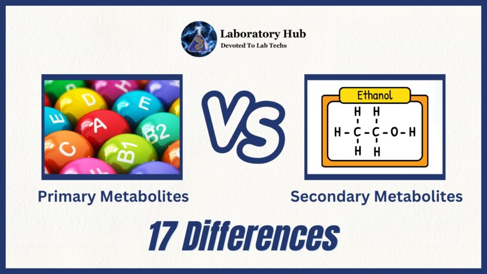 Primary vs Secondary Metabolites - 17 Differences