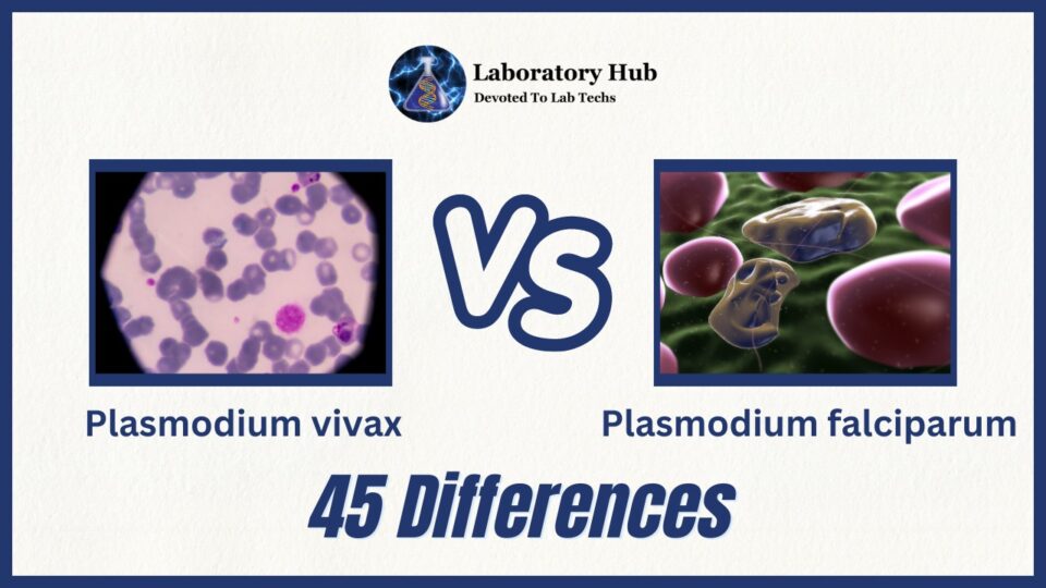 Plasmodium vivax vs Plasmodium falciparum- 45 Differences