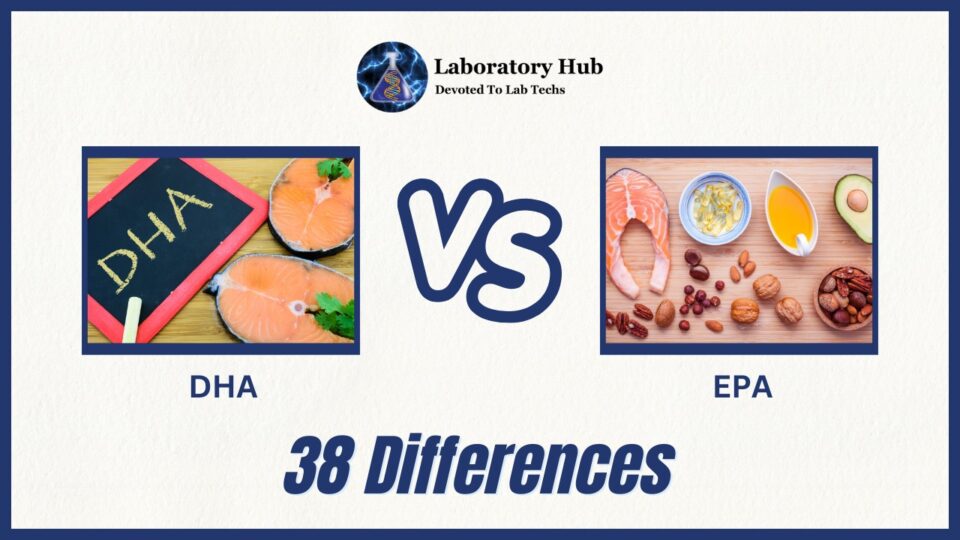38 Differences Between DHA And EPA