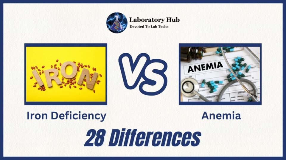28 Crucial Differences Between Iron Deficiency and Anemia