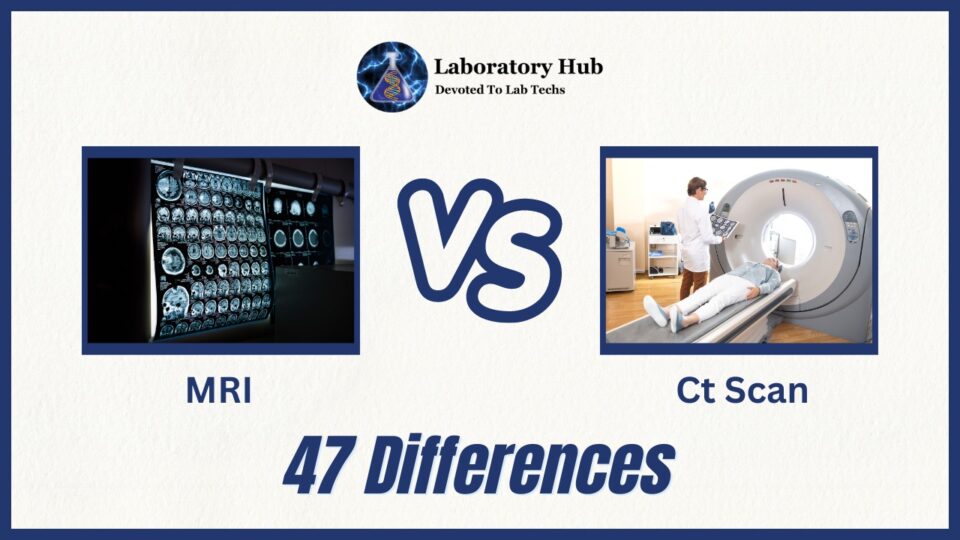 47 Differences Between MRI and CT scan