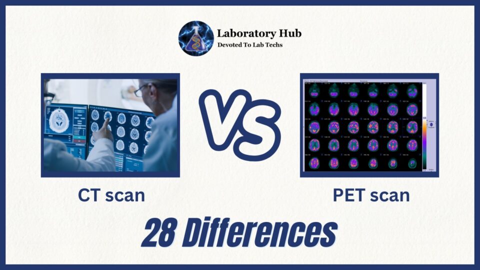 28 differences between CT scan and PET Scan