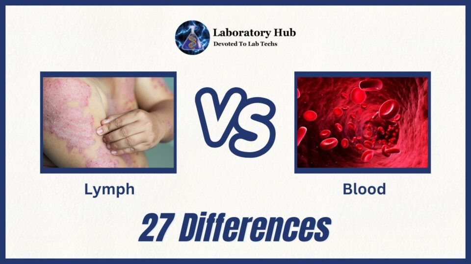 27 differences between Lymph and Blood