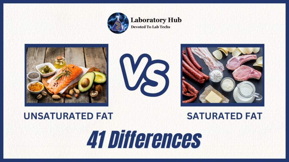 41 DIFFERENCES UNSATURATED AND SATURATED FAT 
